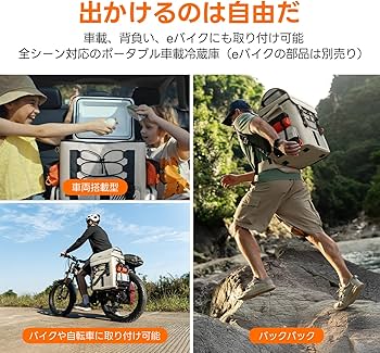 Amazon.co.jp: Litheli ポータブル冷蔵庫 20L -20℃～20℃ 急速